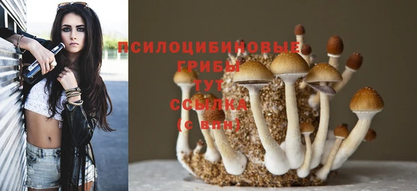 круглые Алексеевка