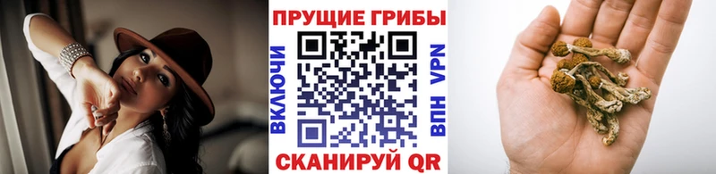 Псилоцибиновые грибы GOLDEN TEACHER закладки МЕГА ссылка Урень